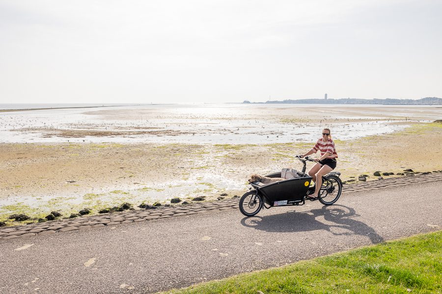 Terschelling fietsen